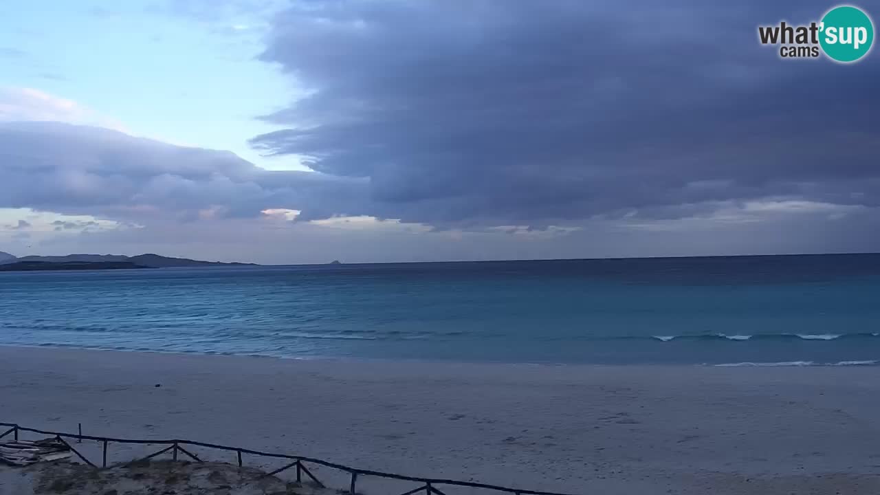 Playa de L’Isuledda – San Teodoro (OT) – Cerdeña