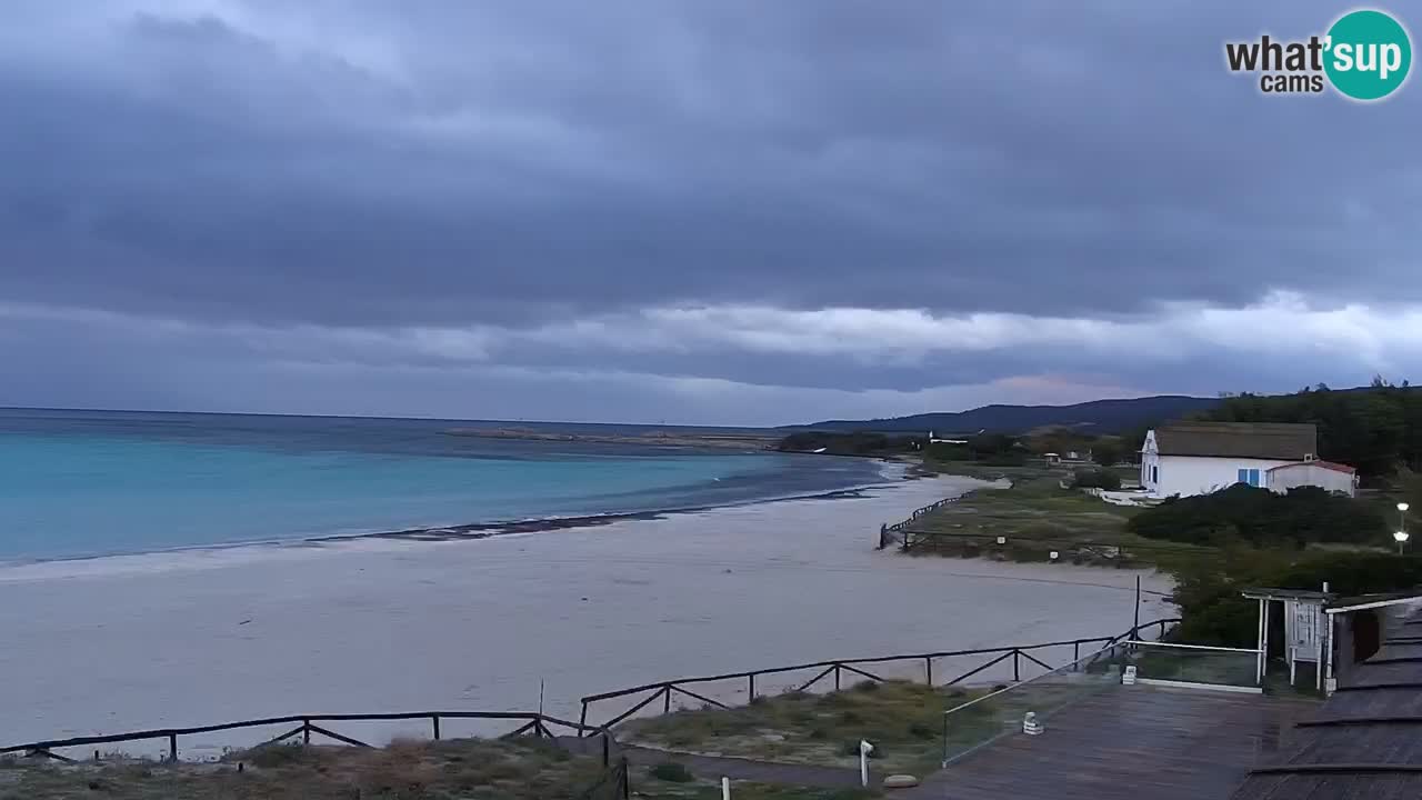 Playa de L’Isuledda – San Teodoro (OT) – Cerdeña