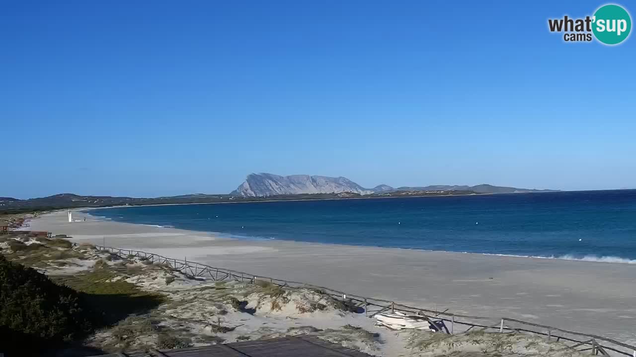 Strand de L’Isuledda – San Teodoro (OT) – Sardinien