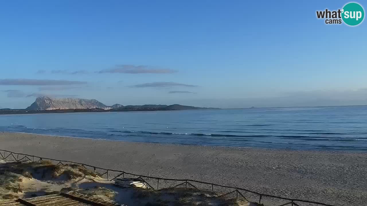 Webcam La Cinta spiaggia di San Teodoro (OT) – Sardegna