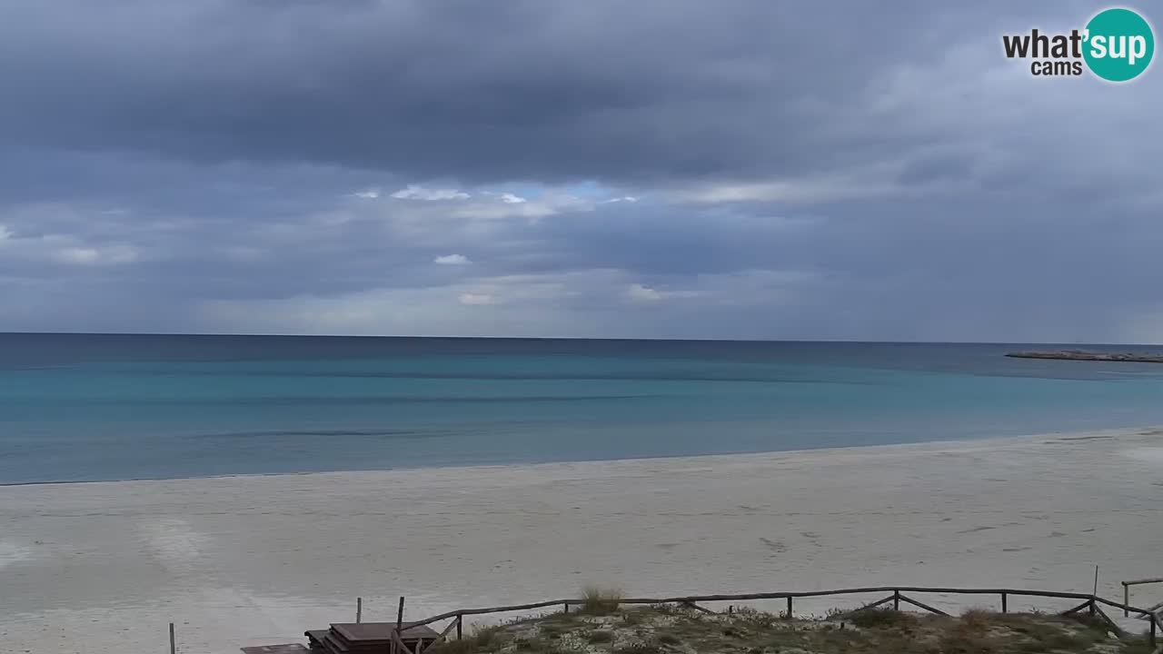 Playa de L’Isuledda – San Teodoro (OT) – Cerdeña