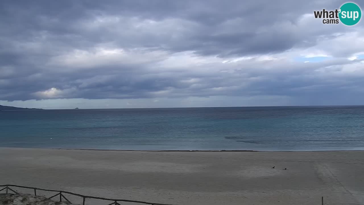 Playa de L’Isuledda – San Teodoro (OT) – Cerdeña