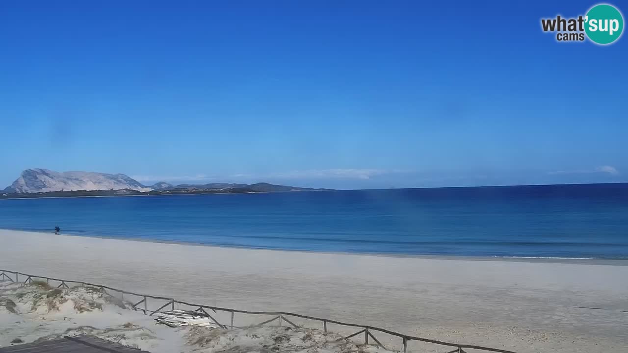 Beach de L’Isuledda – San Teodoro (OT) – Sardinia