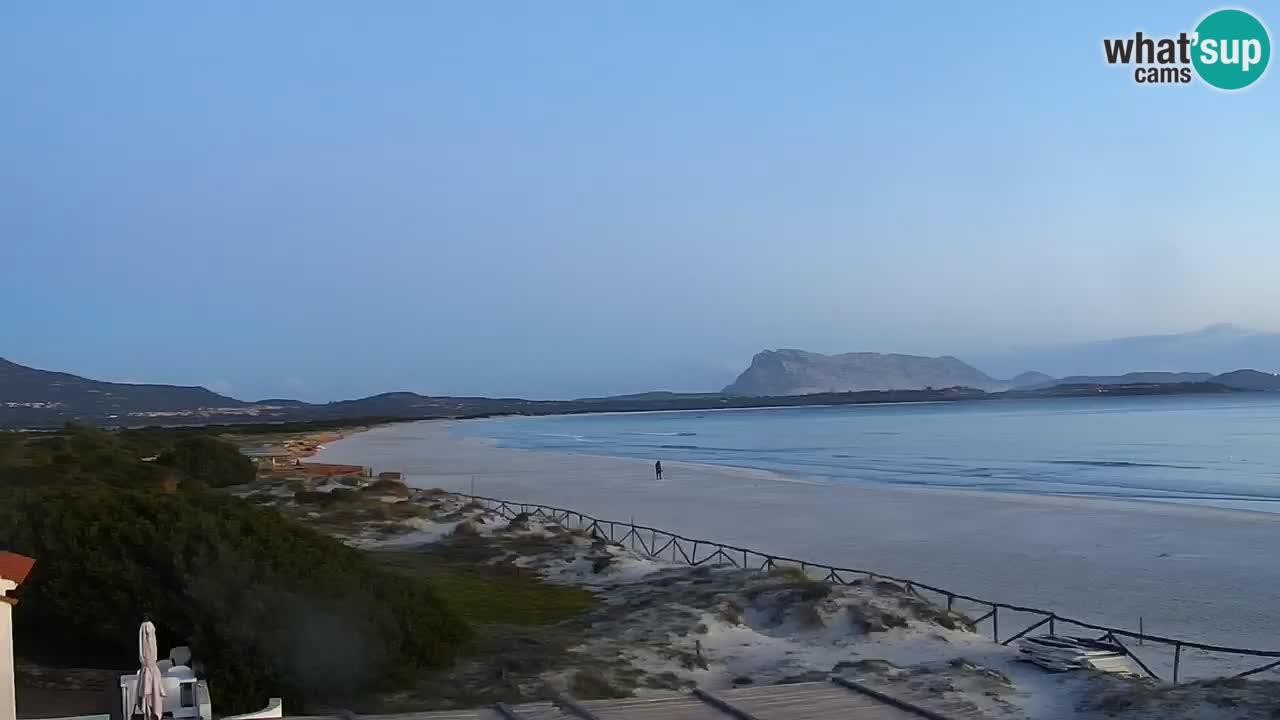 Plage de L’Isuledda – San Teodoro (OT) – Sardaigne