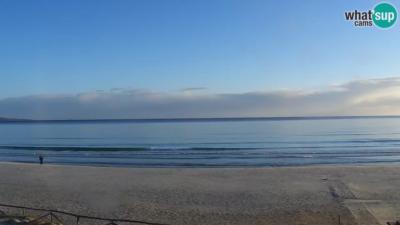 Beach de L’Isuledda – San Teodoro (OT) – Sardinia