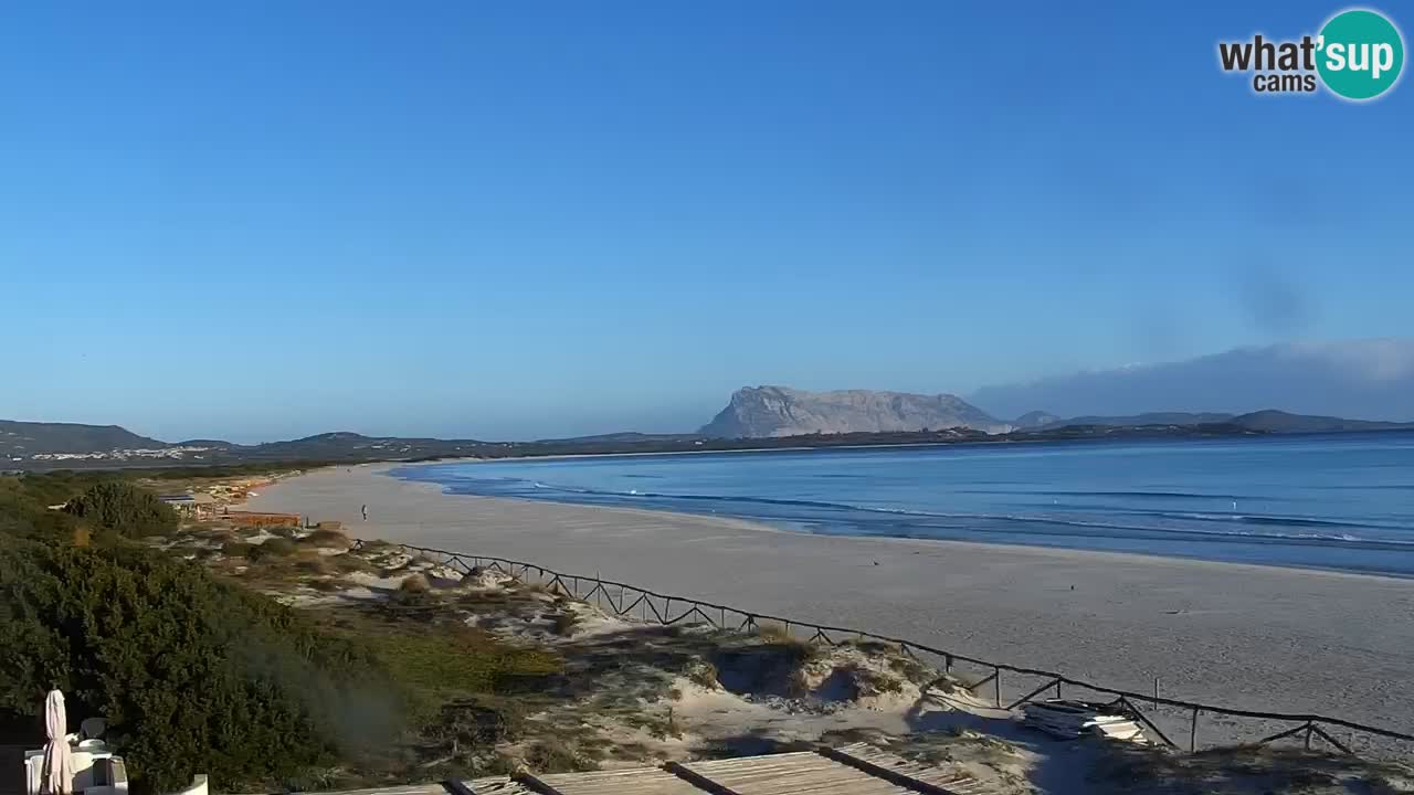 Beach de L’Isuledda – San Teodoro (OT) – Sardinia