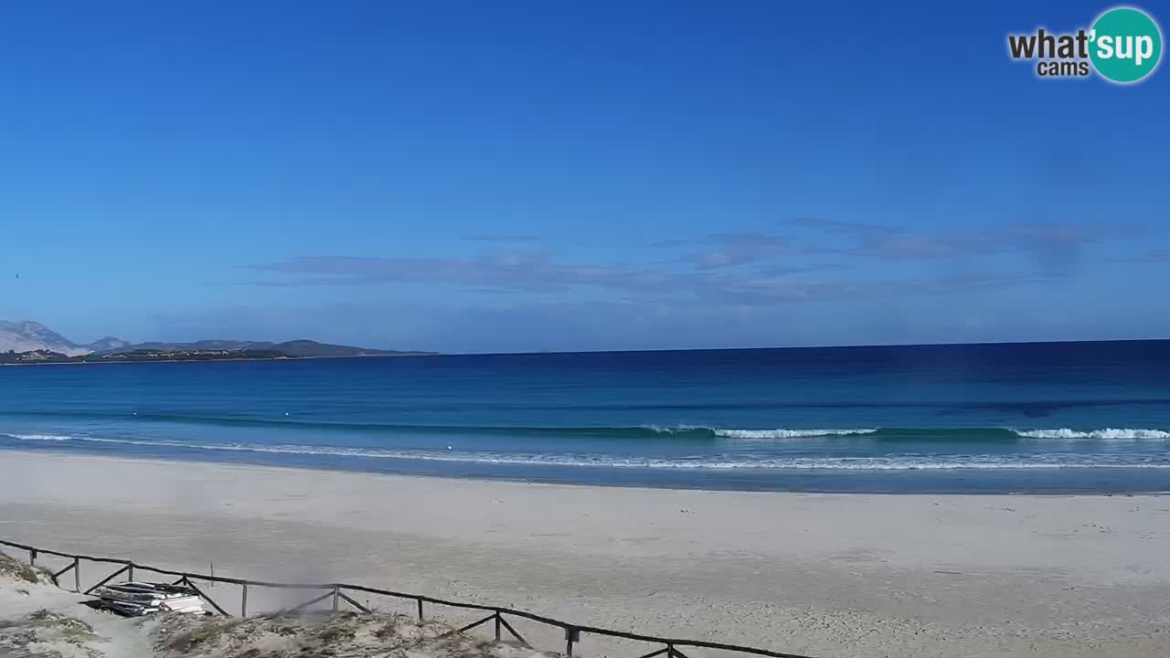 Beach de L’Isuledda – San Teodoro (OT) – Sardinia