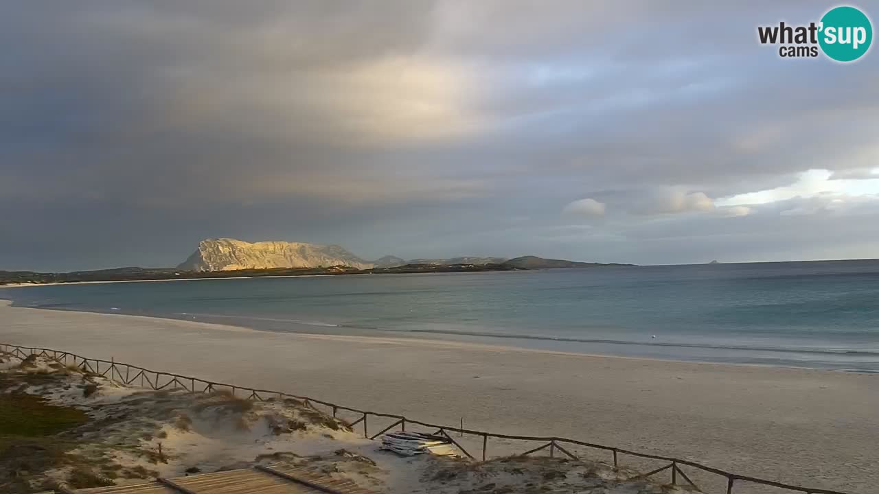 Strand de L’Isuledda – San Teodoro (OT) – Sardinien