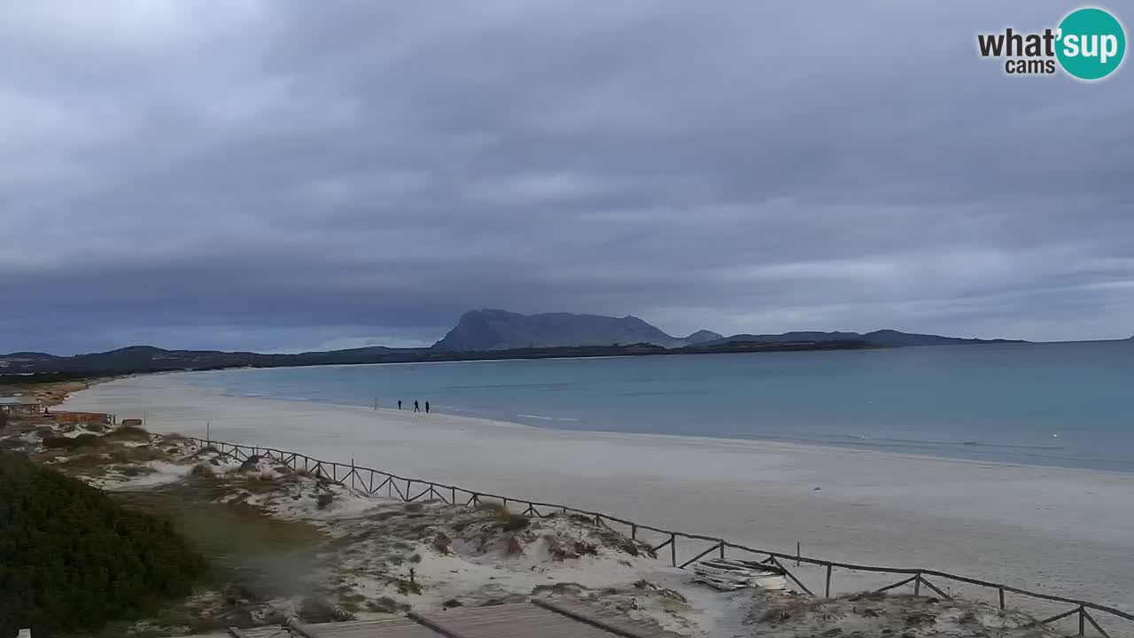 Plaža de L’Isuledda – San Teodoro (OT) – Sardinija