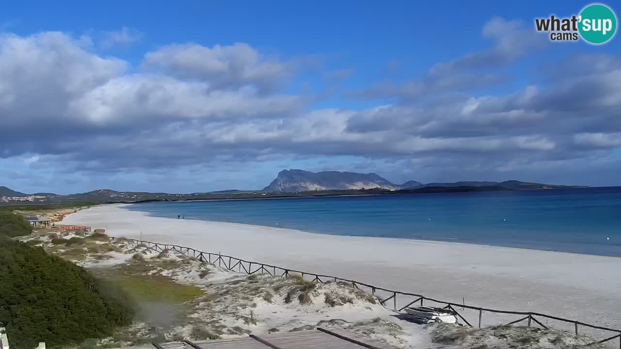 Playa de L’Isuledda – San Teodoro (OT) – Cerdeña