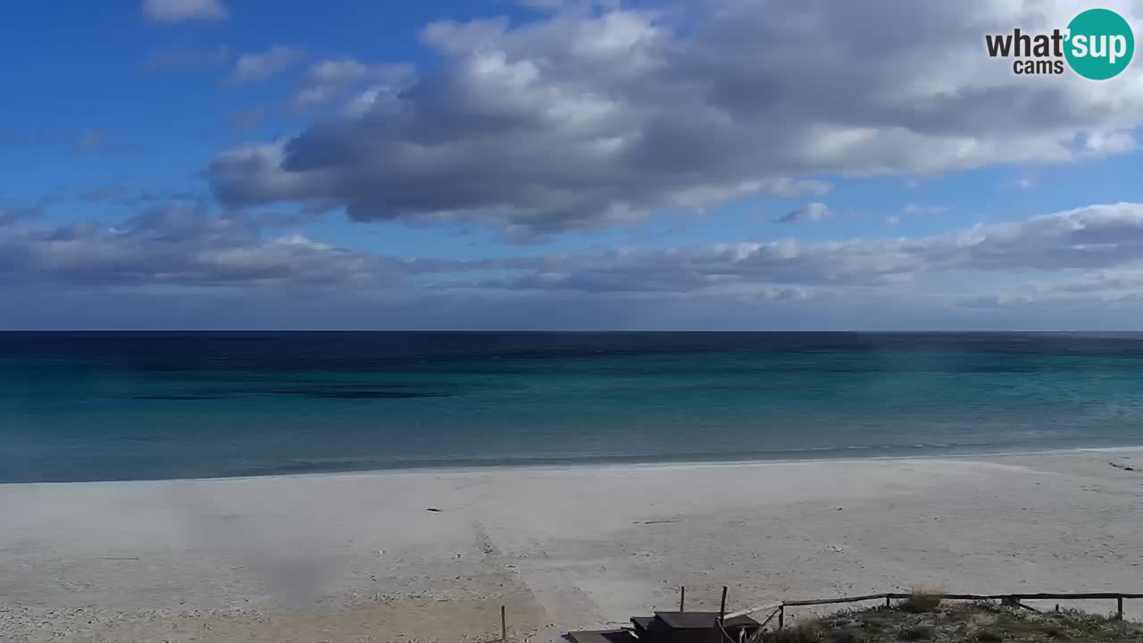 Beach de L’Isuledda – San Teodoro (OT) – Sardinia