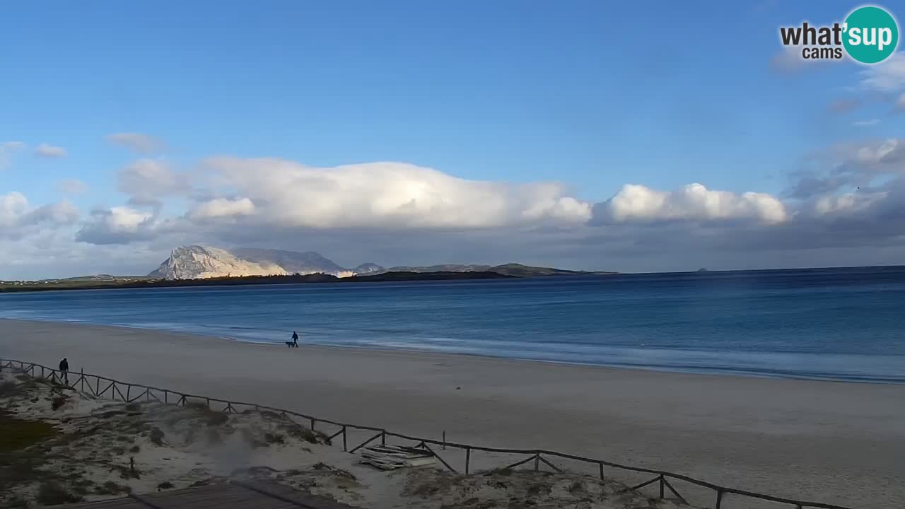 Beach de L’Isuledda – San Teodoro (OT) – Sardinia