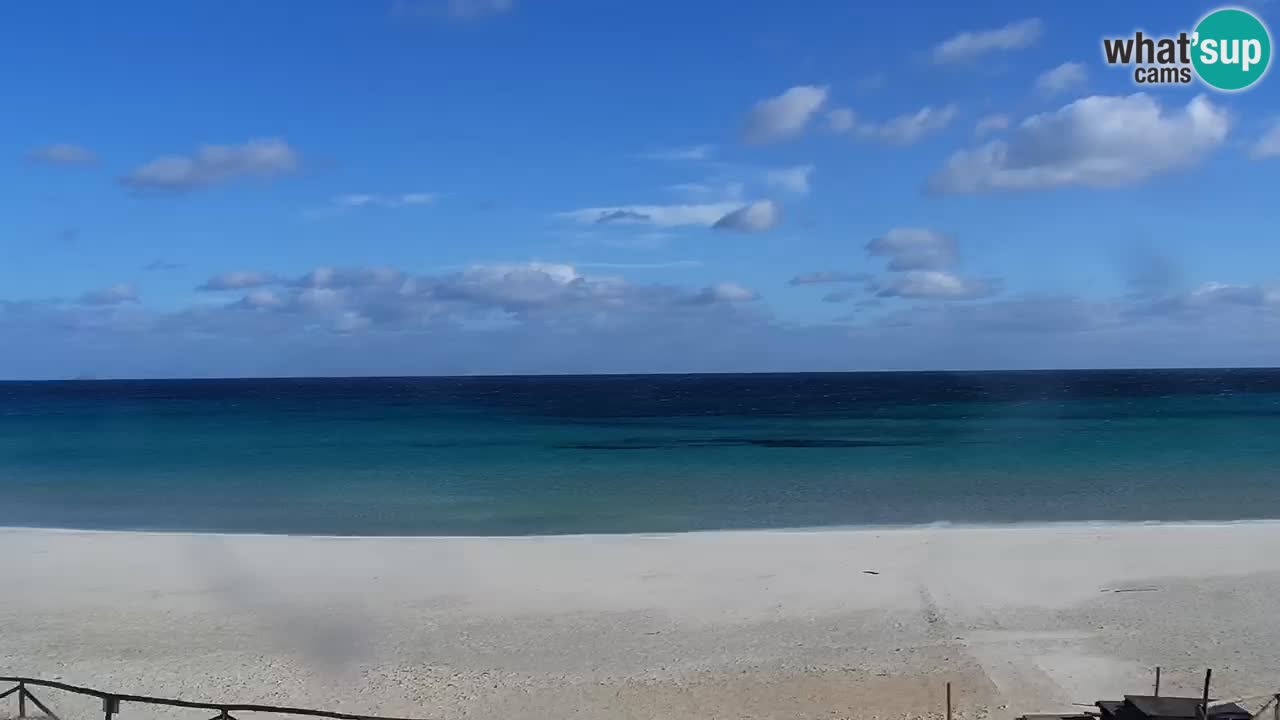 Playa de L’Isuledda – San Teodoro (OT) – Cerdeña