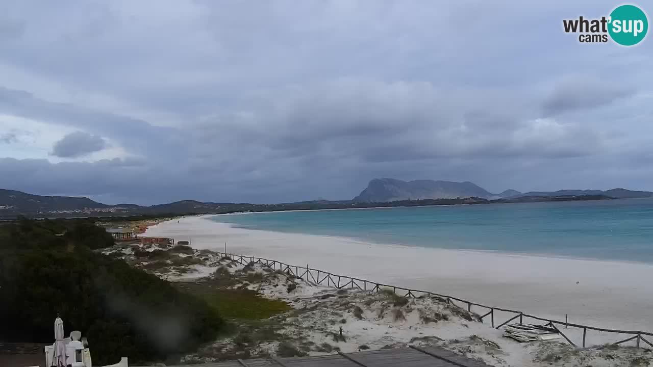 Plaža de L’Isuledda – San Teodoro (OT) – Sardinija