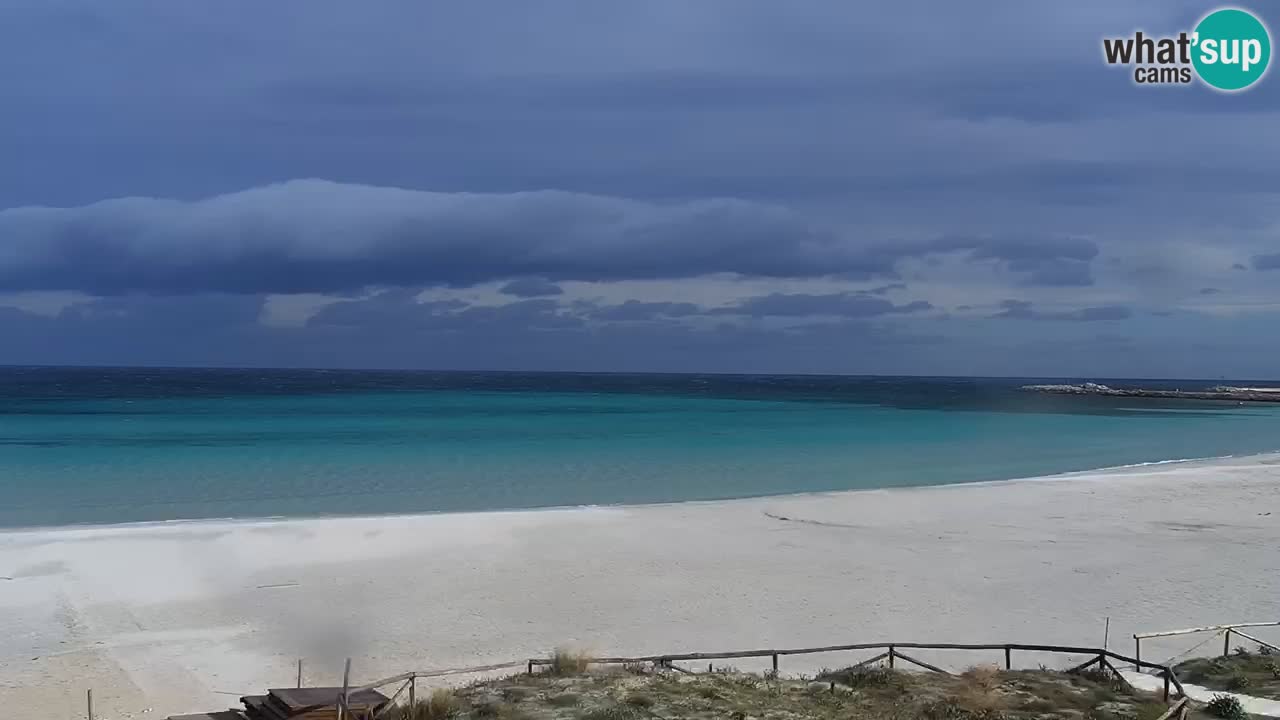 Plaža de L’Isuledda – San Teodoro (OT) – Sardinija