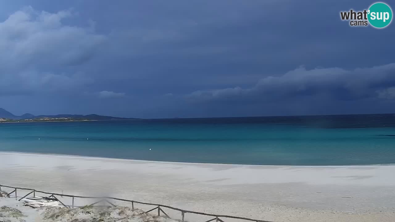 Beach de L’Isuledda – San Teodoro (OT) – Sardinia