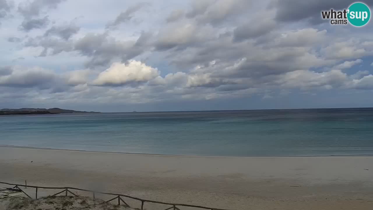 Beach de L’Isuledda – San Teodoro (OT) – Sardinia