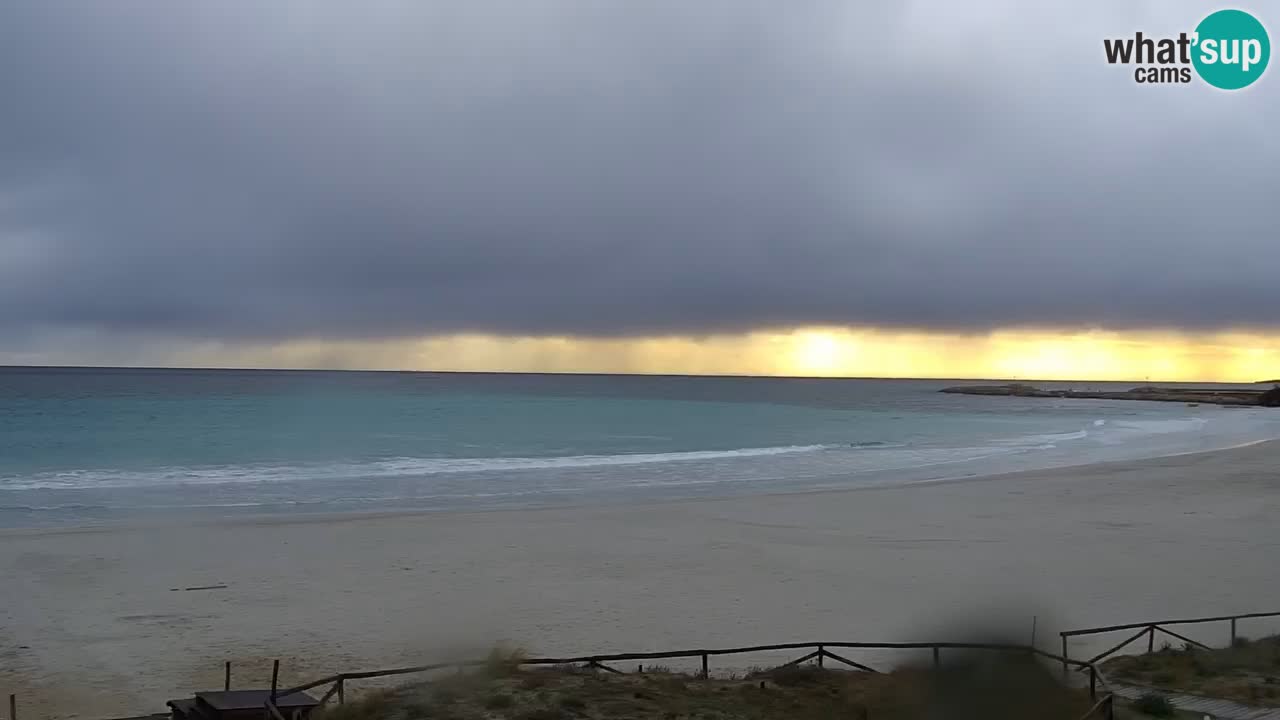 Beach de L’Isuledda – San Teodoro (OT) – Sardinia