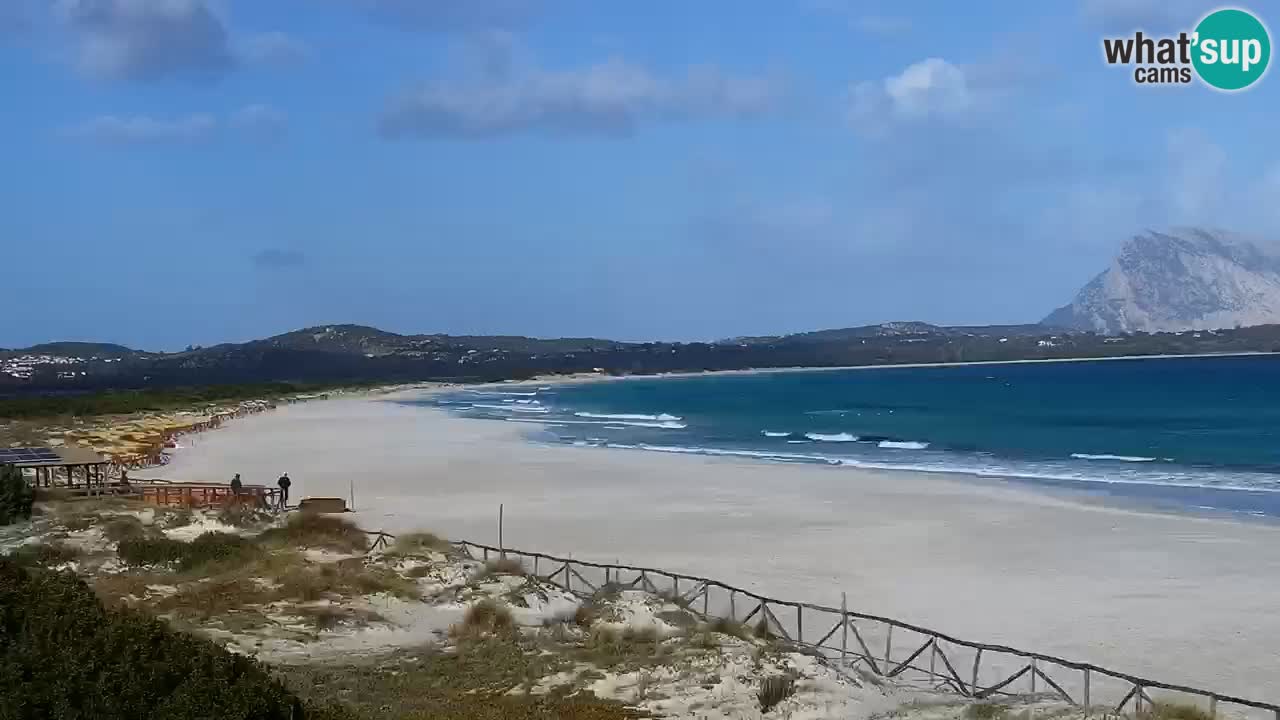 Beach de L’Isuledda – San Teodoro (OT) – Sardinia