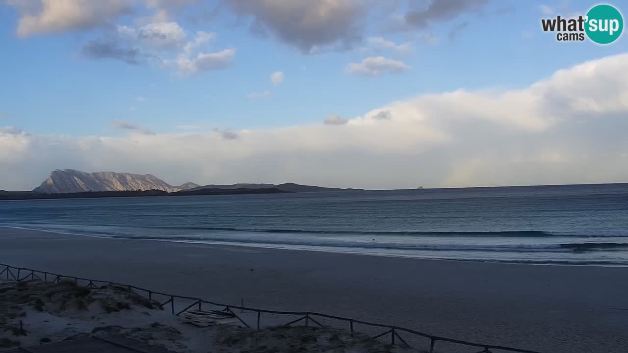 Plage de L’Isuledda – San Teodoro (OT) – Sardaigne