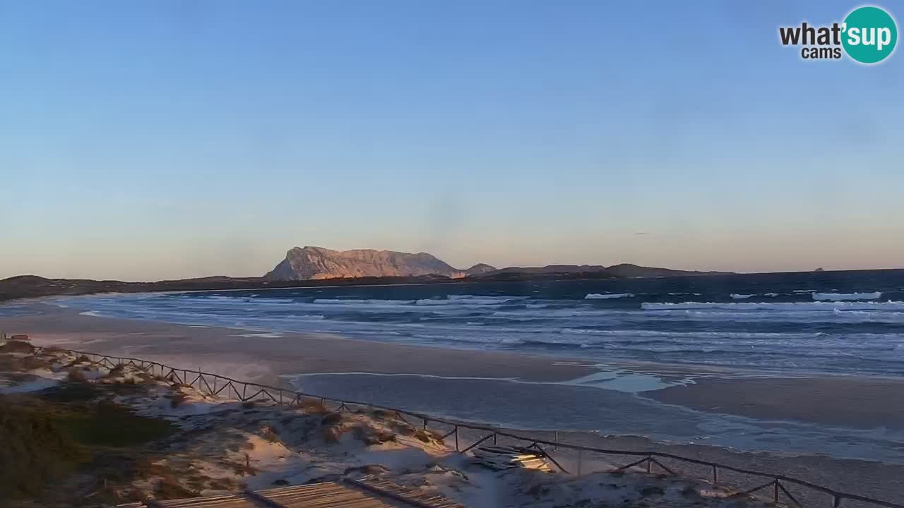 Beach de L’Isuledda – San Teodoro (OT) – Sardinia