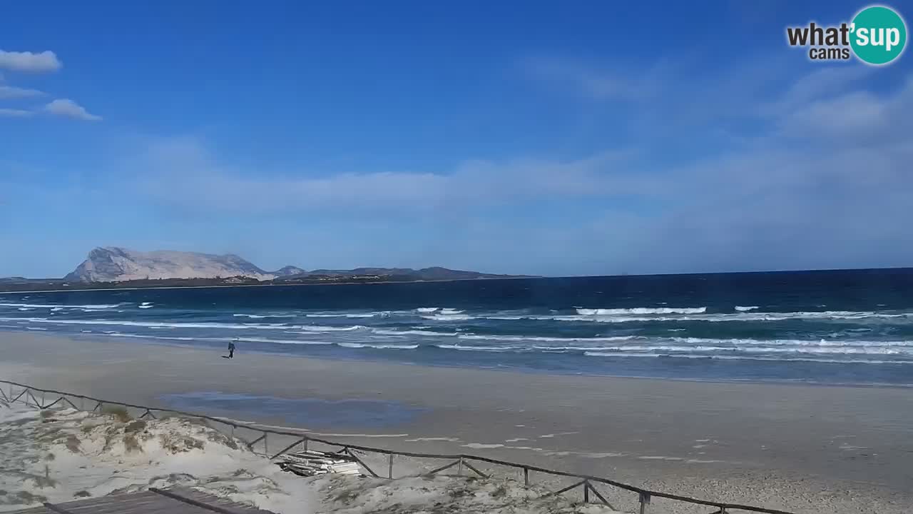 Plage de L’Isuledda – San Teodoro (OT) – Sardaigne