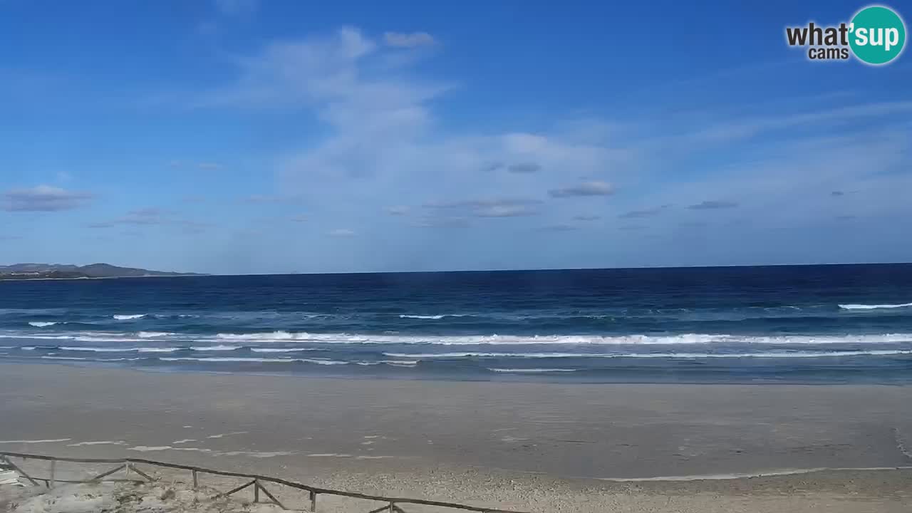 Beach de L’Isuledda – San Teodoro (OT) – Sardinia