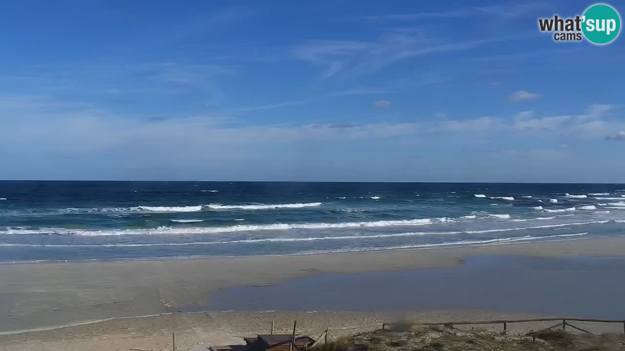 Beach de L’Isuledda – San Teodoro (OT) – Sardinia