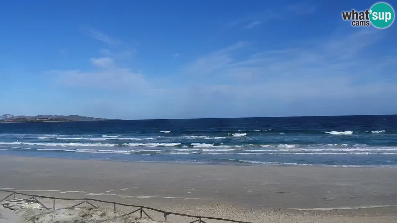 Beach de L’Isuledda – San Teodoro (OT) – Sardinia