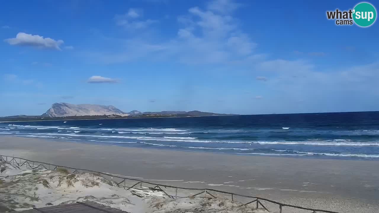 Beach de L’Isuledda – San Teodoro (OT) – Sardinia