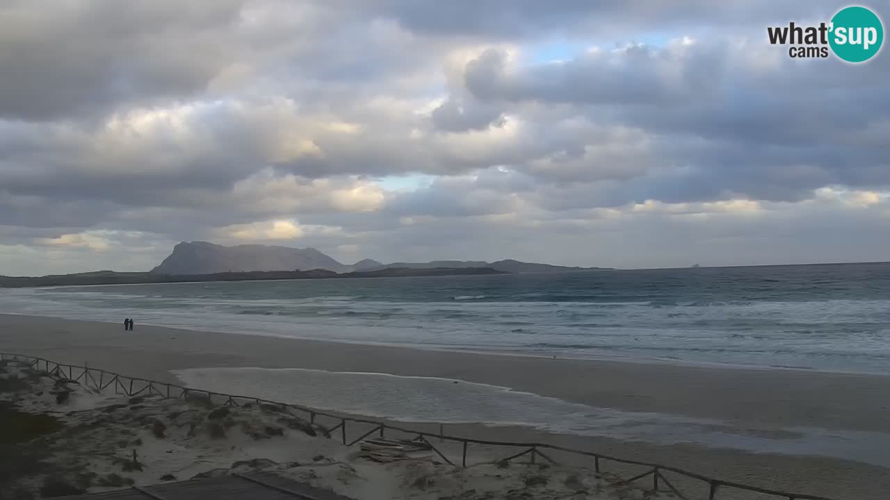 Strand de L’Isuledda – San Teodoro (OT) – Sardinien