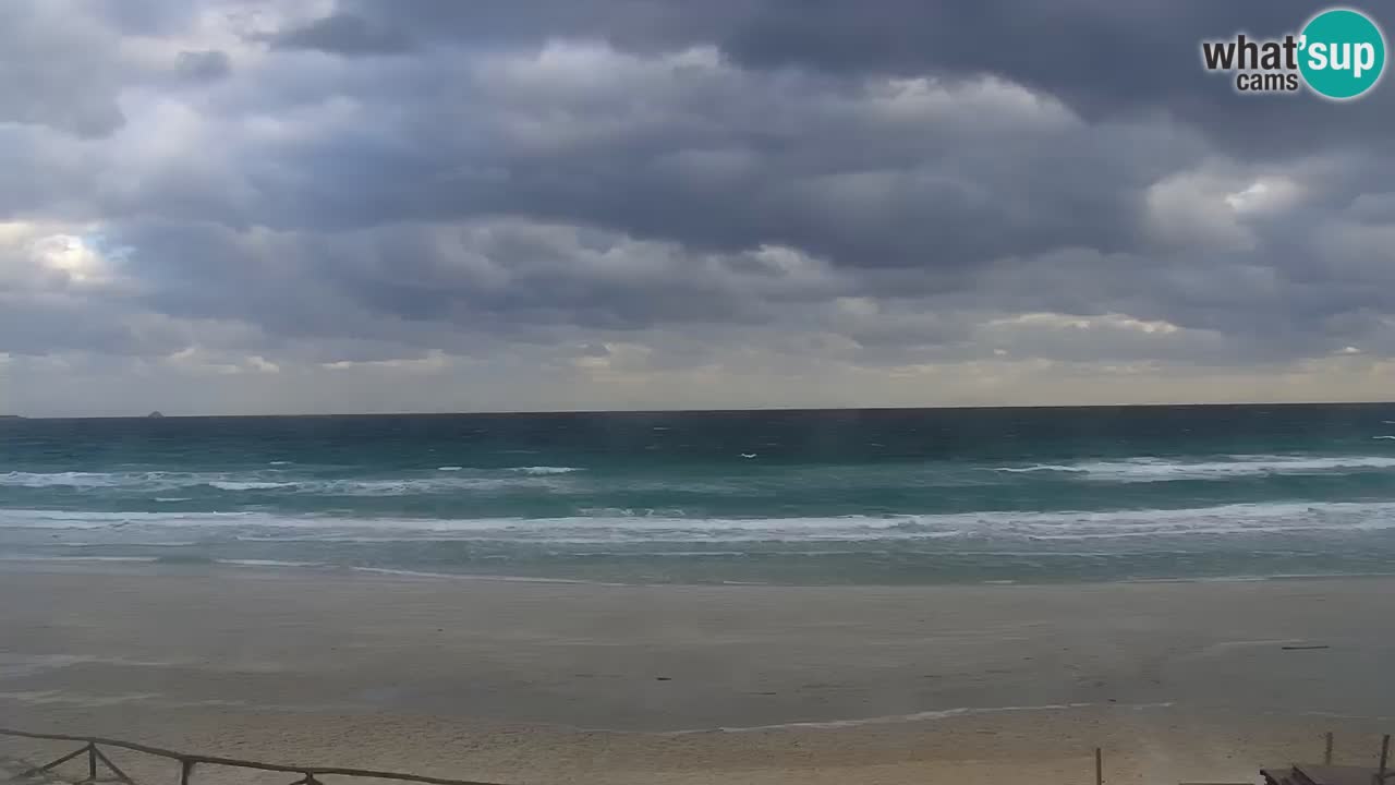 Playa de L’Isuledda – San Teodoro (OT) – Cerdeña