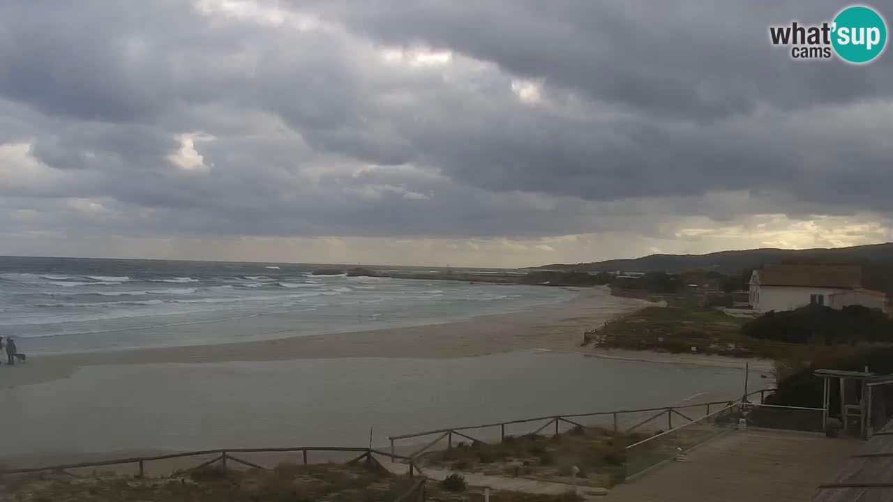 Plage de L’Isuledda – San Teodoro (OT) – Sardaigne