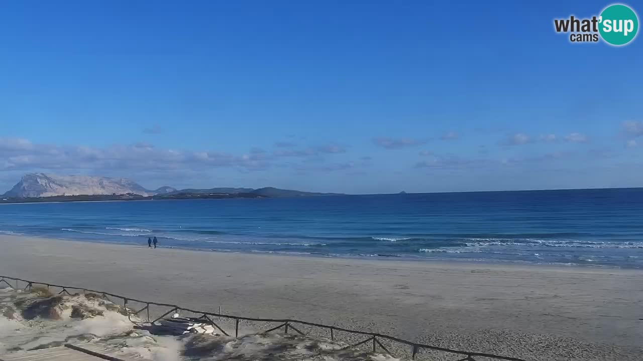 Beach de L’Isuledda – San Teodoro (OT) – Sardinia