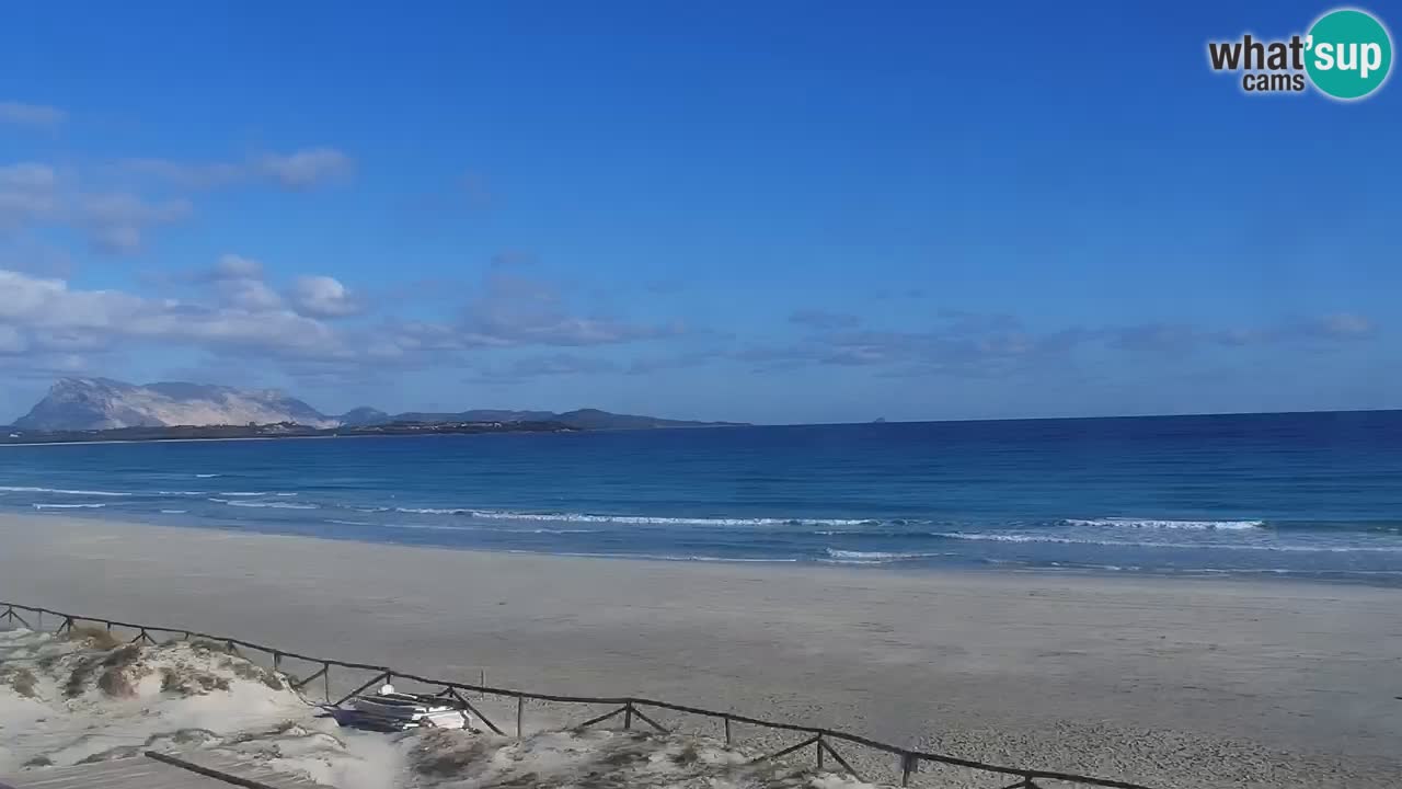 Beach de L’Isuledda – San Teodoro (OT) – Sardinia