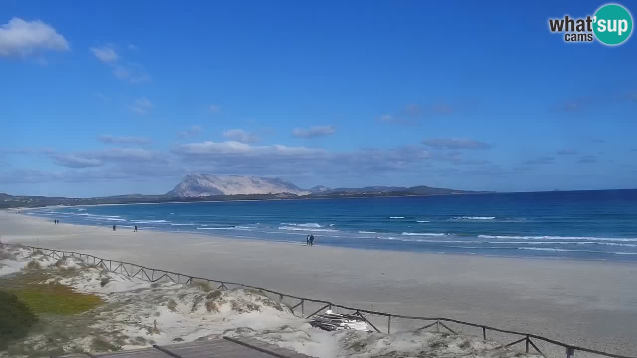 Beach de L’Isuledda – San Teodoro (OT) – Sardinia