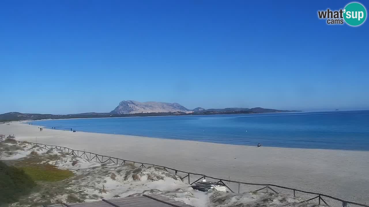 Beach de L’Isuledda – San Teodoro (OT) – Sardinia