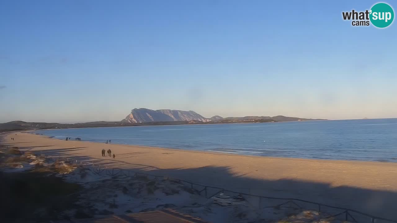 Strand de L’Isuledda – San Teodoro (OT) – Sardinien