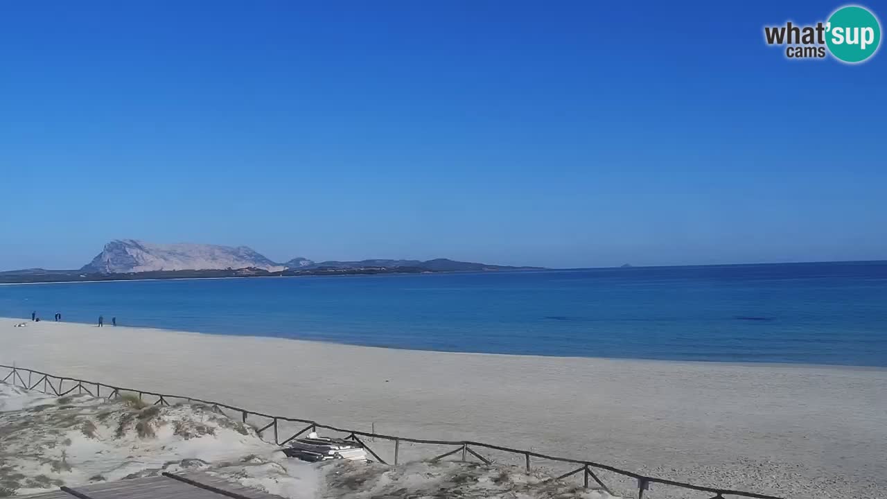 Plage de L’Isuledda – San Teodoro (OT) – Sardaigne