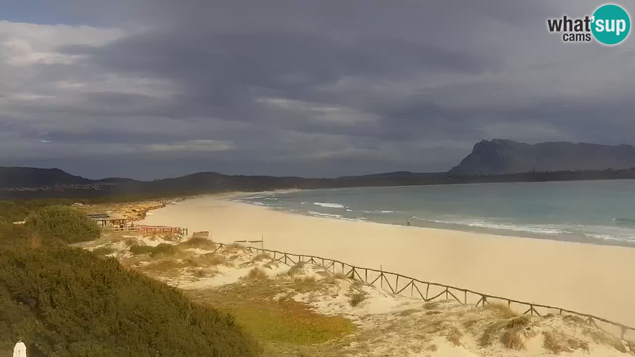 Strand de L’Isuledda – San Teodoro (OT) – Sardinien