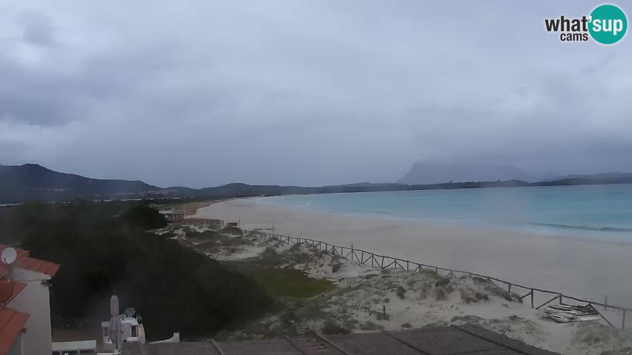 Plage de L’Isuledda – San Teodoro (OT) – Sardaigne