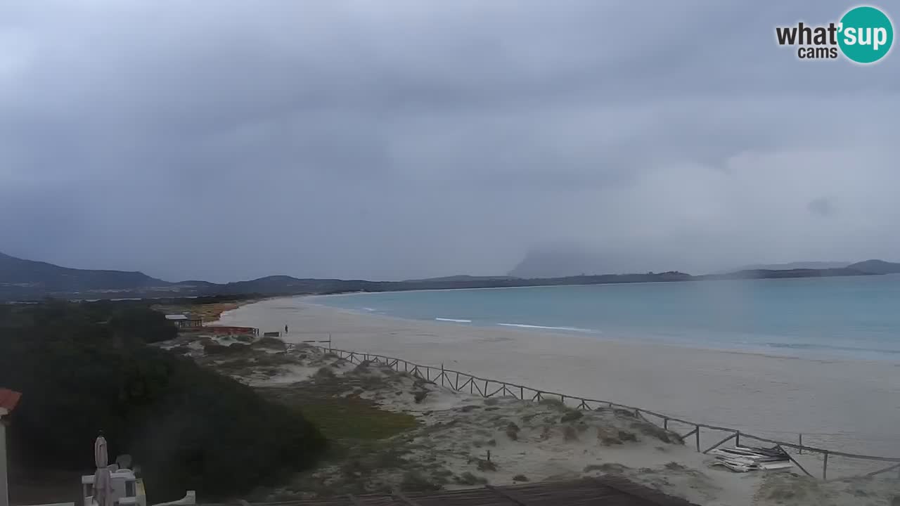 Beach de L’Isuledda – San Teodoro (OT) – Sardinia