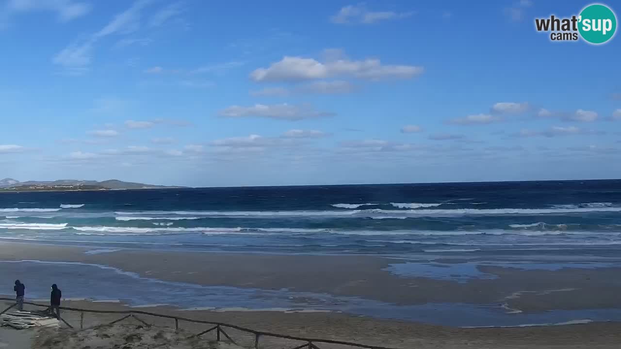 Beach de L’Isuledda – San Teodoro (OT) – Sardinia