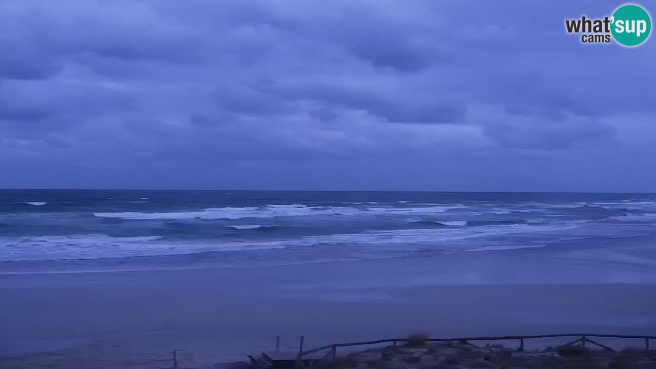 Beach de L’Isuledda – San Teodoro (OT) – Sardinia