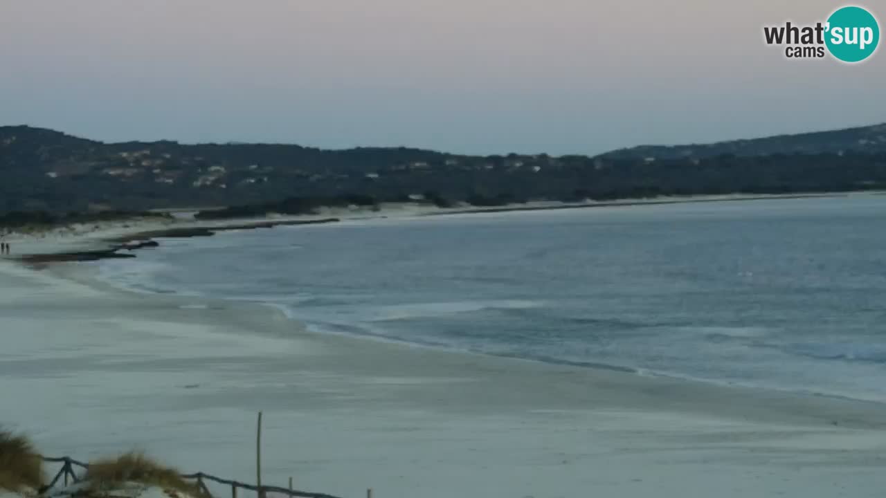 Beach de L’Isuledda – San Teodoro (OT) – Sardinia