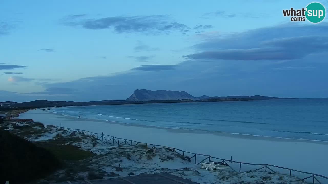 Playa de L’Isuledda – San Teodoro (OT) – Cerdeña