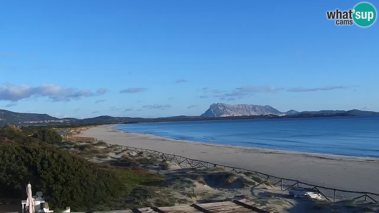 Playa de L’Isuledda – San Teodoro (OT) – Cerdeña