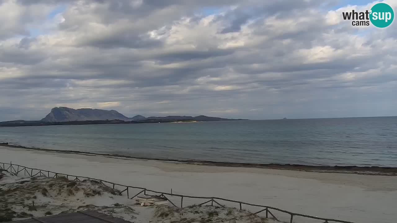 Webcam La Cinta spiaggia di San Teodoro (OT) – Sardegna