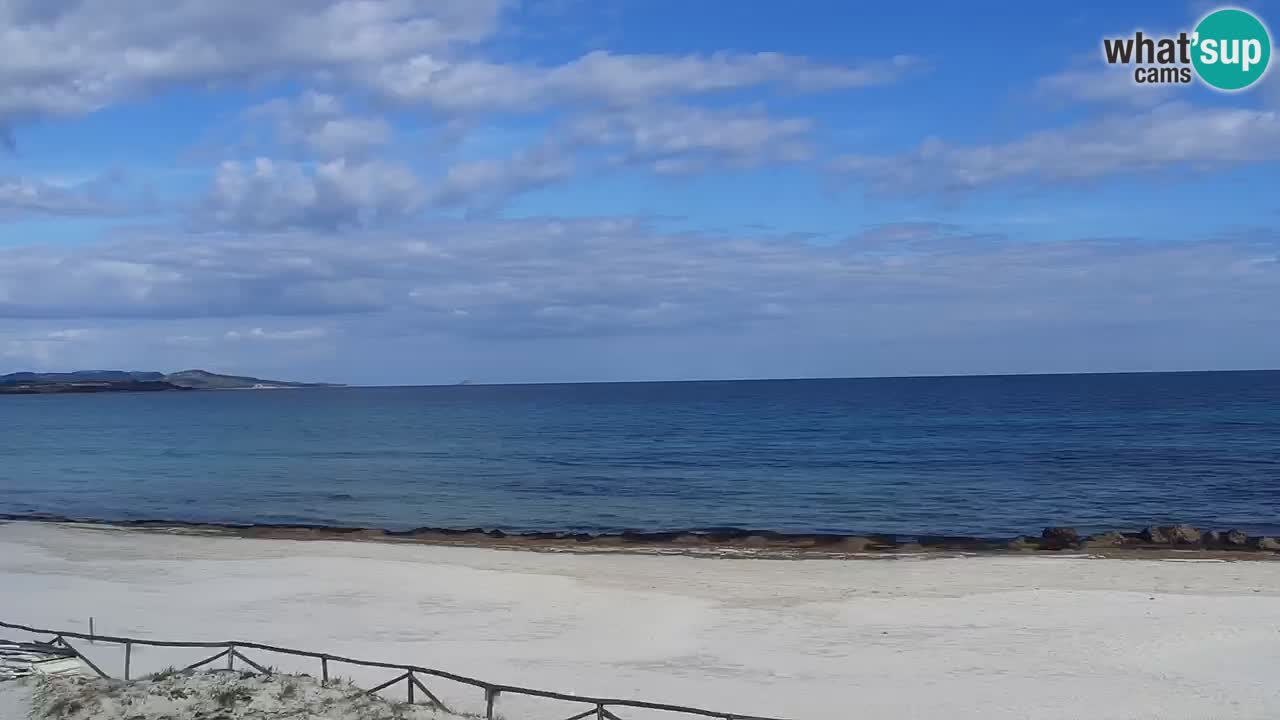 Beach de L’Isuledda – San Teodoro (OT) – Sardinia