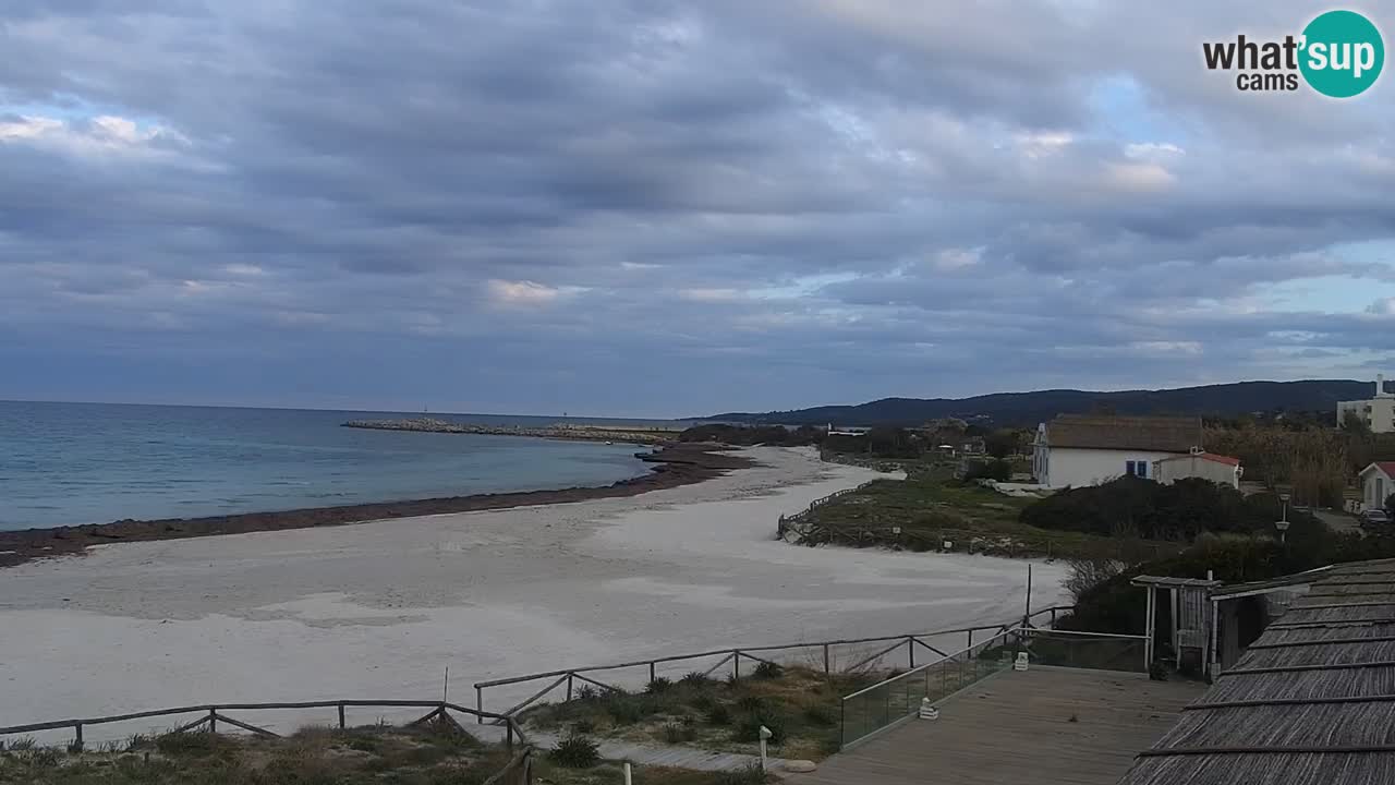 Beach de L’Isuledda – San Teodoro (OT) – Sardinia